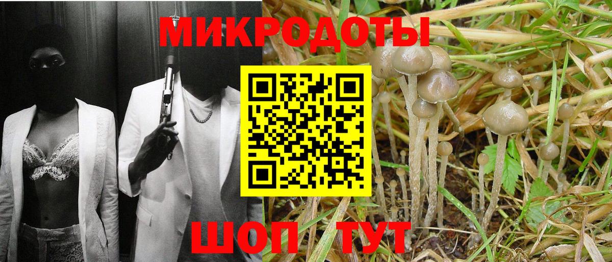 Псилоцибиновые грибы мицелий  Вход с VPN  Заводоуковск  Псилоцибиновые грибы GOLDEN TEACHER 