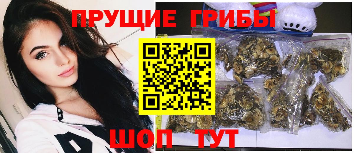 Псилоцибиновые грибы Cubensis Заводоуковск